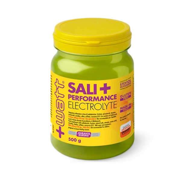SALI+ PERFORMANCE ELECTROLYTE GUSTO ARANCIA 500 G