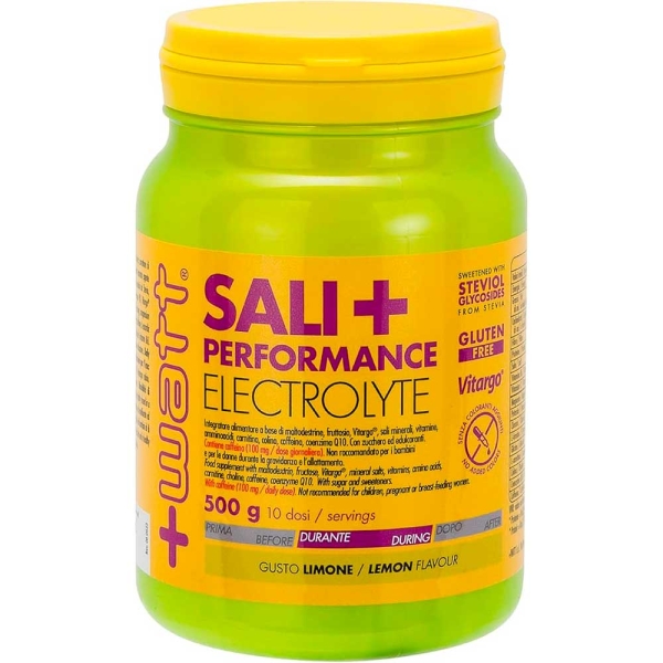 SALI+ ELECTROLYTE LIMONE 500 G