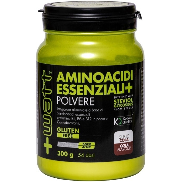 AMINOACIDI ESSENZIALI COLA 300 G