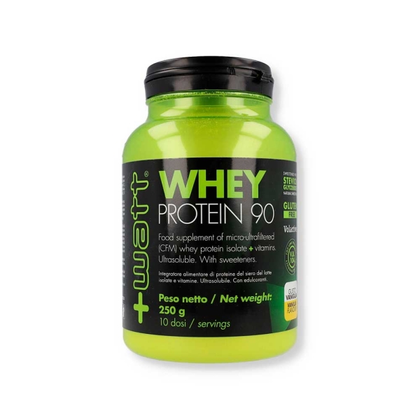 WHEY PROTEIN 90 CREMA POLVERE 250 G